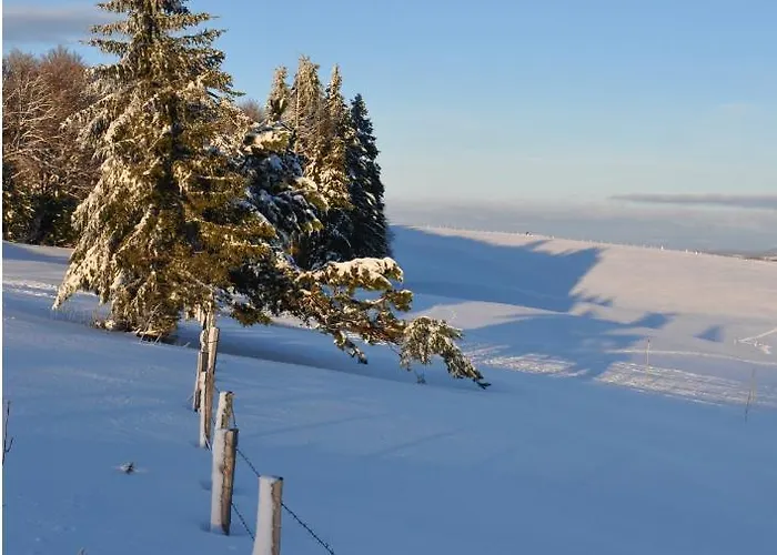 Le Couderc De Coubisou, Grange Rénovée *